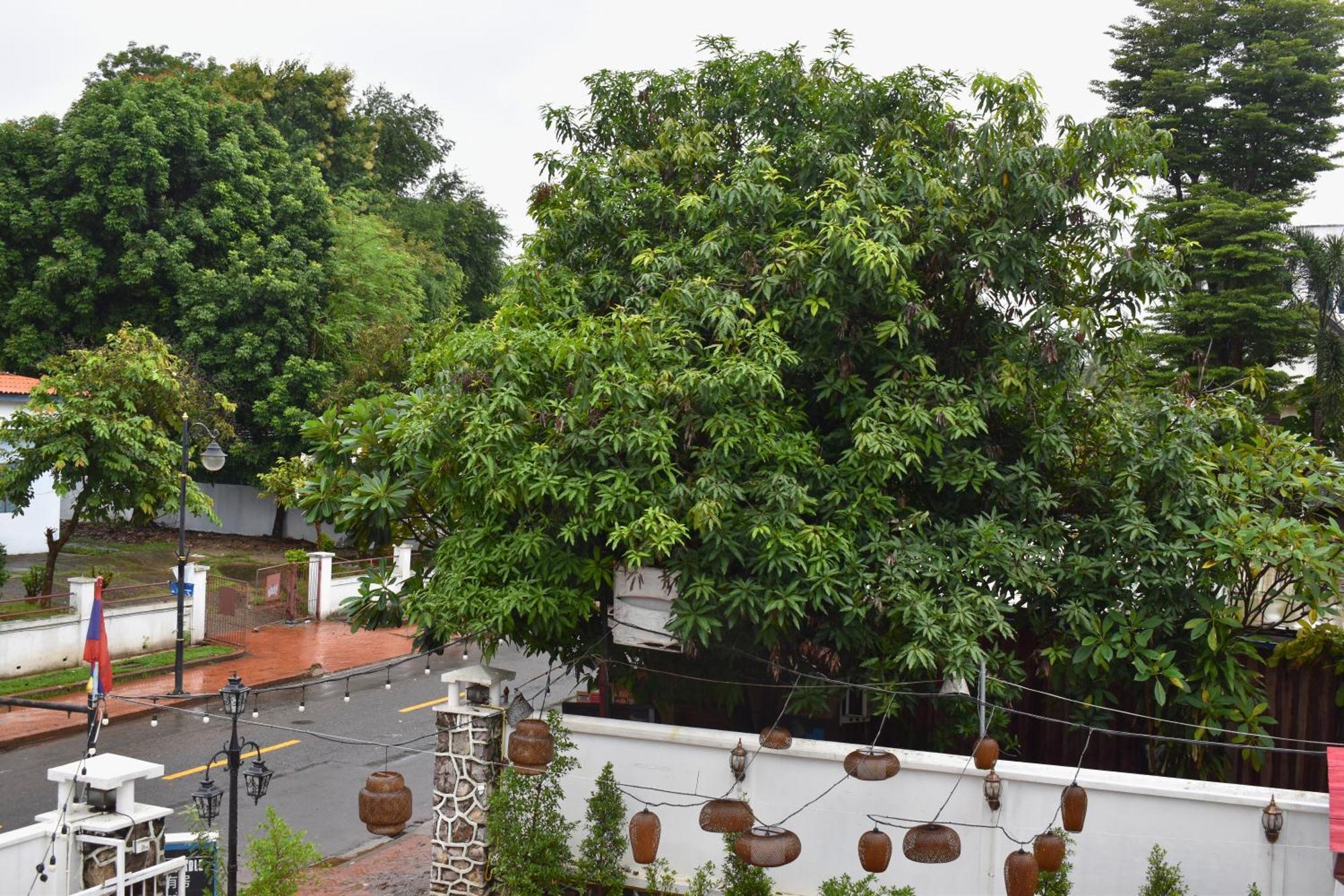 Monsane Villa Luang Prabang Luaran gambar